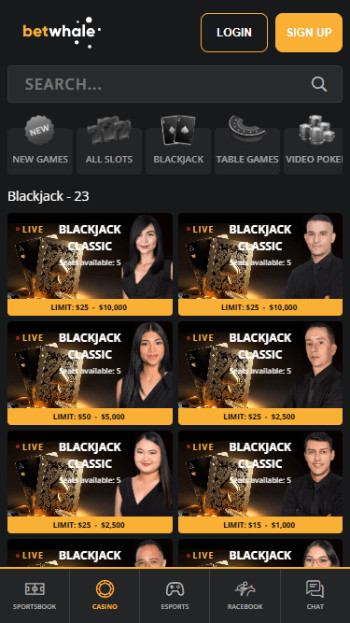 BetWhale live dealer section