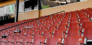 Chunichi Dragons: Two Members of Japanese Baseball Team Cited for Gambling Online Ballpark