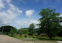 Thai Couple Duped Children into Becoming Money Mules for Gambling Websites Thailand