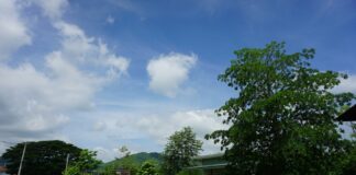 Thai Couple Duped Children into Becoming Money Mules for Gambling Websites Thailand