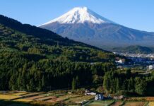 Trial of Ex-Tax Officer Who ‘Embezzled Public Money to Gamble’ Begins in Japan Japan