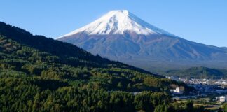 Trial of Ex-Tax Officer Who ‘Embezzled Public Money to Gamble’ Begins in Japan Japan