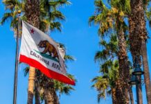 Fewer Than a Dozen Sweepstakes Casinos Exit California After Ban California state flag waving among palm trees under a clear blue sky
