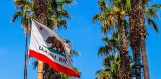 California state flag waving among palm trees under a clear blue sky