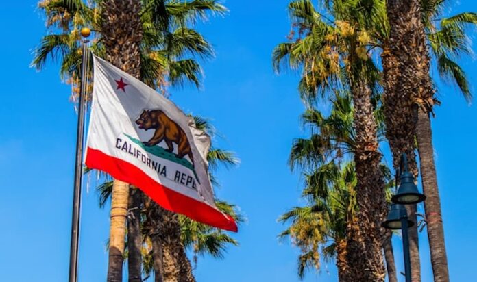 California state flag waving among palm trees under a clear blue sky