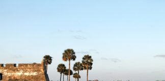 Florida Woman in $24M Gambling Case Demands Return of $340K and Gold Bar Castillo de San Marcos National Monument with palm trees along the waterfront in St. Augustine, Florida.