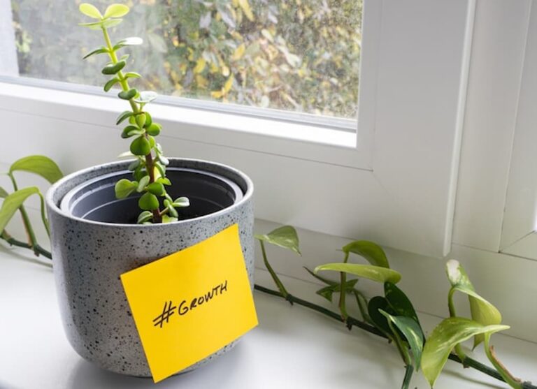 Green plant growing in a pot with a yellow note reading #Growth, symbolizing expansion.