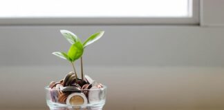 Kalshi Hits $5 Billion Valuation & Expands to 140 Countries in Global Prediction Market Push Small green plant growing from coins in a glass jar near a window