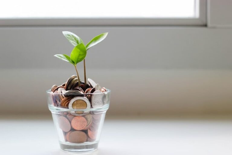 Small green plant growing from coins in a glass jar near a window