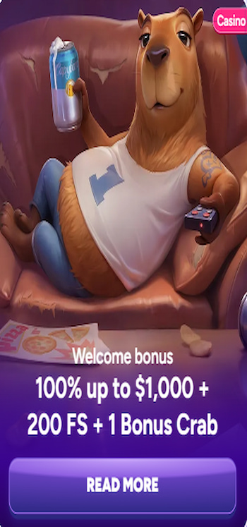 spinbara casino bonus New Zealand