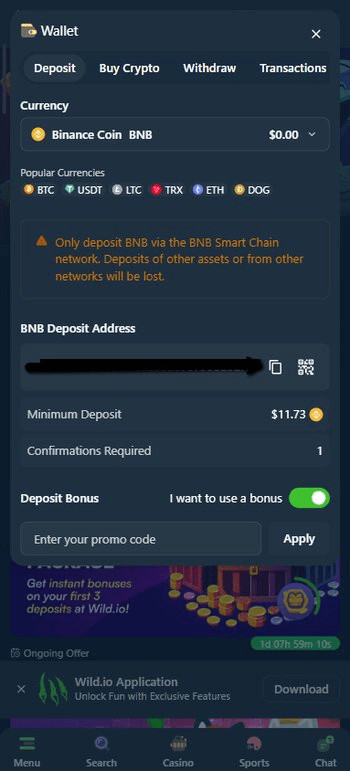 Wild.io banking and deposit page