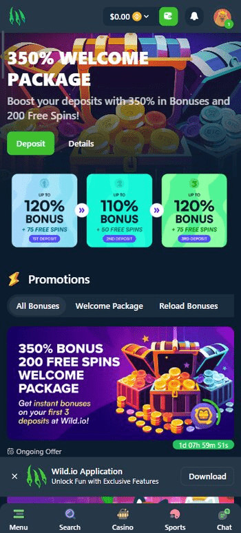 Wild.io BNB casino welcome bonus