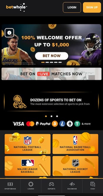 BetWhale Sportsbook