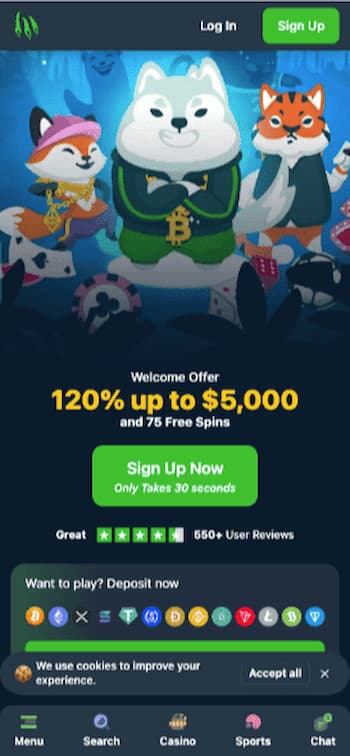 Wild IO Bitcoin Roulette Casinos