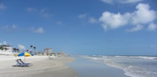Florida Authorities Seize 22 Illegal Machines, $25K in Cash in Port Orange Raids Sandy beach with umbrellas under a clear blue sky