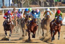 FBI & ICE Raid at Idaho Racetrack Blurs Line Between Gambling and Immigration Jockeys and horses racing on a dirt track during a daytime horse-racing event.