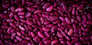 Kidney beans