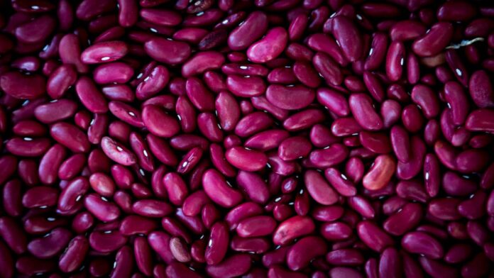 Kidney beans