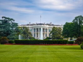 White House view from the south lawn with fountains and greenery