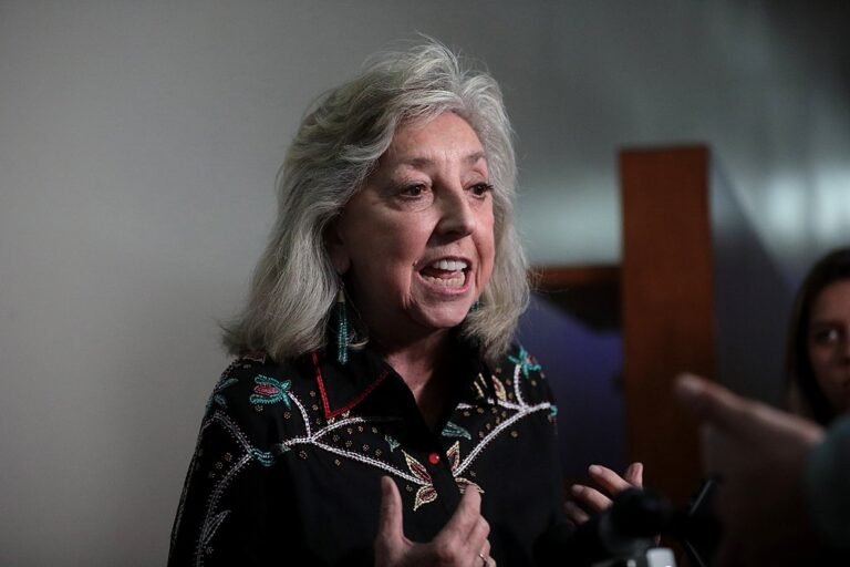 Rep. Dina Titus speaks to reporters while gesturing with her hands during a press conference.