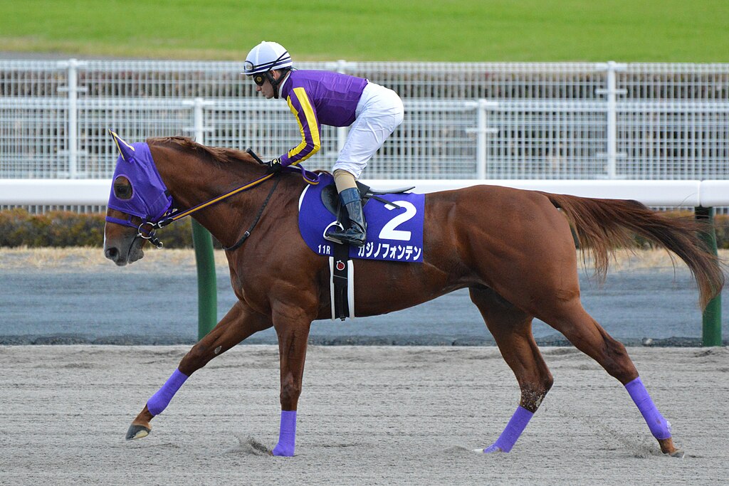 The Japanese racehorse Casino Fountain in action in 2021.