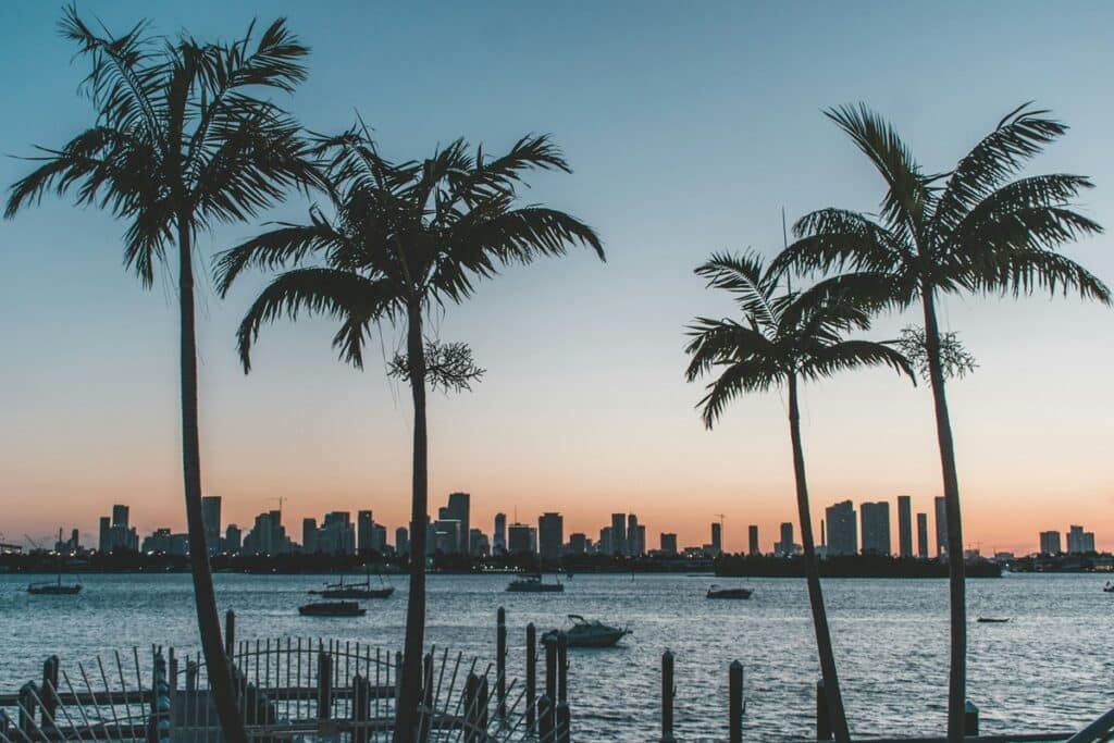 A photo of palm trees in Miami Beach, Florida