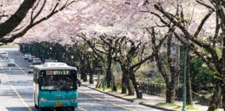 Korean Prosecutors Seek Jail for Civil Servant Who Gambled Away $408K in State Funds South Korea