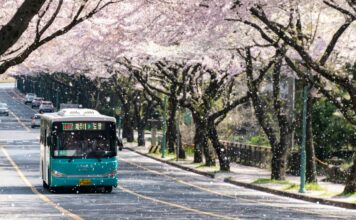 Korean Prosecutors Seek Jail for Civil Servant Who Gambled Away $408K in State Funds South Korea