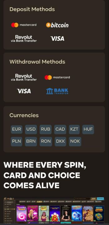 Realz Casino Deposit Methods