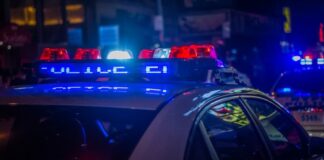 ICE, IRS, and Florida Regulators Seize Hundreds of Illegal Gambling Machines in Multi-County Bust Police vehicle with flashing red and blue lights during a nighttime law enforcement operation