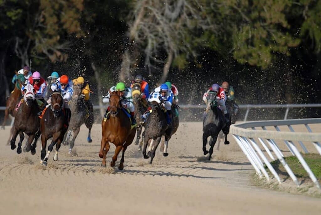 A group of thoroughbred racehorses with jockeys competing in a dirt track horse race