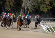 Appeals Court Again Backs Churchill Downs in Ongoing Michigan TwinSpires Fight A group of thoroughbred racehorses with jockeys competing in a dirt track horse race