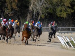 Appeals Court Again Backs Churchill Downs in Ongoing Michigan TwinSpires Fight A group of thoroughbred racehorses with jockeys competing in a dirt track horse race