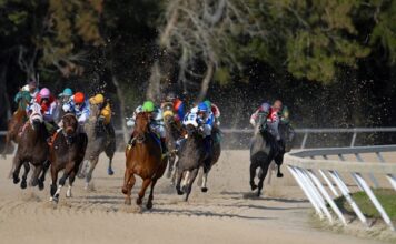 Appeals Court Again Backs Churchill Downs in Ongoing Michigan TwinSpires Fight A group of thoroughbred racehorses with jockeys competing in a dirt track horse race