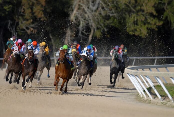 Appeals Court Again Backs Churchill Downs in Ongoing Michigan TwinSpires Fight A group of thoroughbred racehorses with jockeys competing in a dirt track horse race