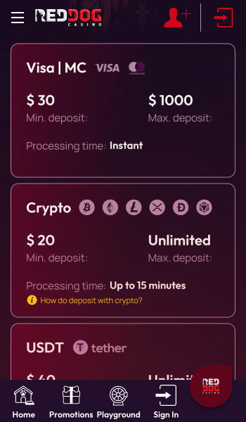 Red Dog Casino banking page