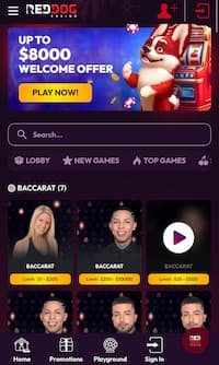 Red Dog Casino live dealer games