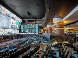 Opinion: Circa’s Strategic Innovation Keeps It Rolling in Slumping Las Vegas Circa Sportsbook