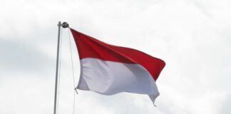 Indonesian flag