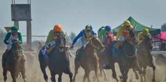 Japanese Police Officer Stole Valuable Trading Cards to Fuel Horse Racing Addiction Japanese horse racing
