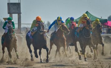Japanese Police Officer Stole Valuable Trading Cards to Fuel Horse Racing Addiction Japanese horse racing