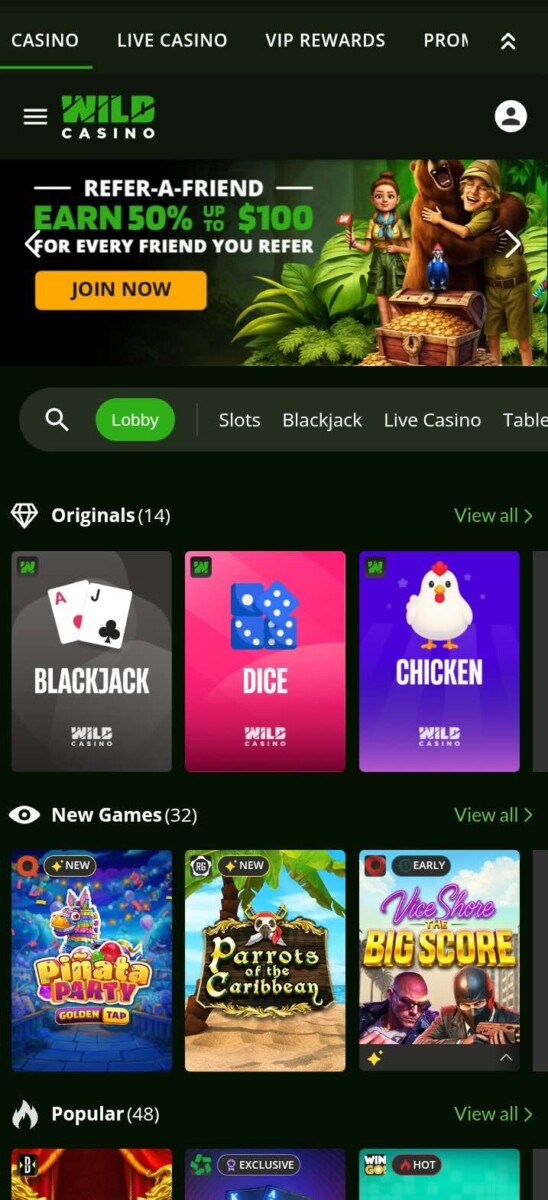Best No Deposit Casino: Wild Casino 1
