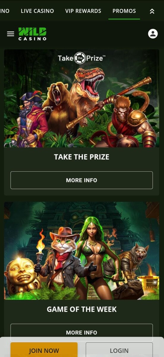 Best No Deposit Casino Wild Casino 2