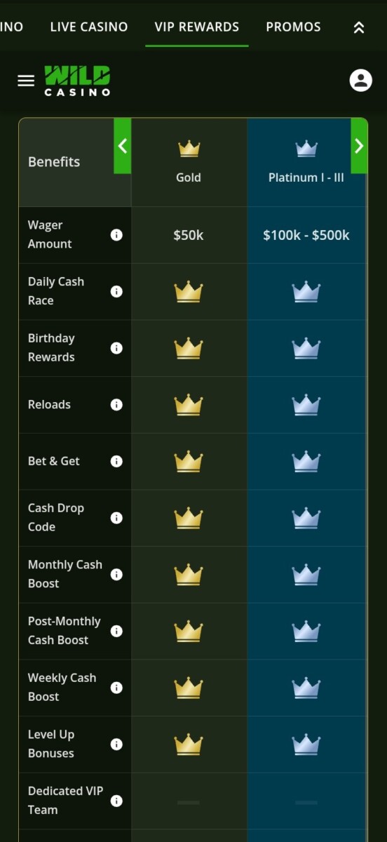 Best No Deposit Casino Wild Casino 3