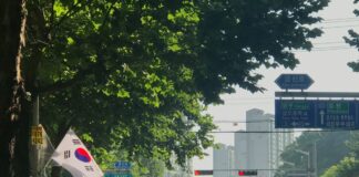 South Korean Police Shut Down Card Mule Network That Catered to Online Gambling Sites South Korea