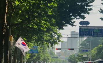 South Korean Police Shut Down Card Mule Network That Catered to Online Gambling Sites South Korea