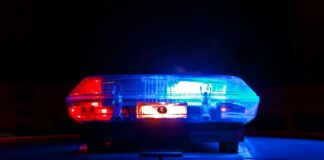 South Korean Police Shut Down Gang That Manipulated Bets on Illegal Gambling Sites South Korean police