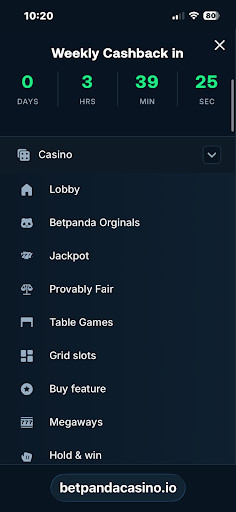 BetPanda bitcoin casino mobile screenshot