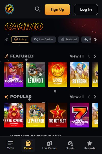 オンラインカジノインスタントカジノカジノ画面