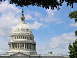 The U.S. Capitol building in Washington, D.C., seen beneath a blue sky with trees framing the dome.